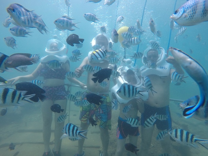 [다낭] 참섬 씨워킹 & 스노쿨링(Underwater Walking & Snorkeling) 투어