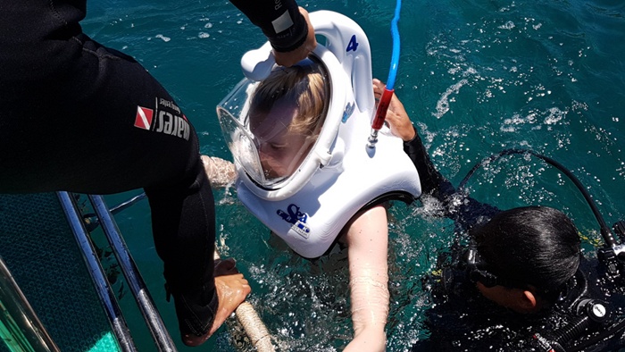 [다낭] 참섬 씨워킹 & 스노쿨링(Underwater Walking & Snorkeling) 투어
