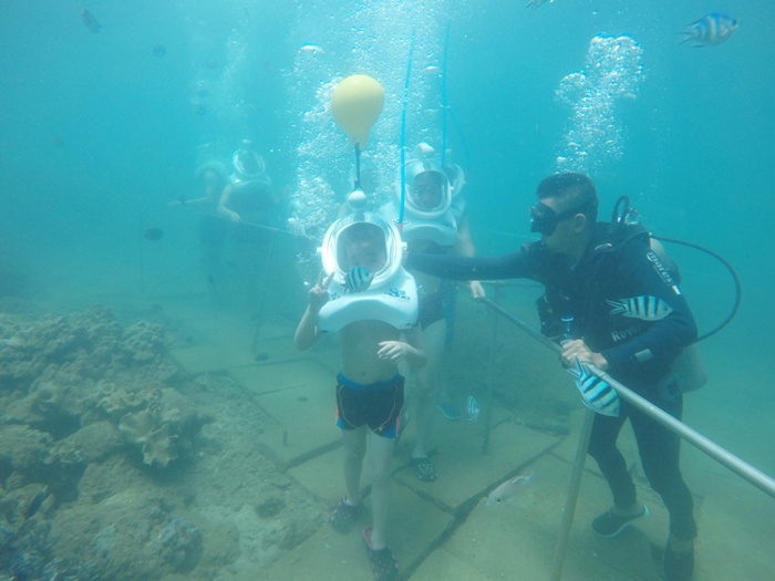 [다낭] 참섬 씨워킹 & 스노쿨링(Underwater Walking & Snorkeling) 투어