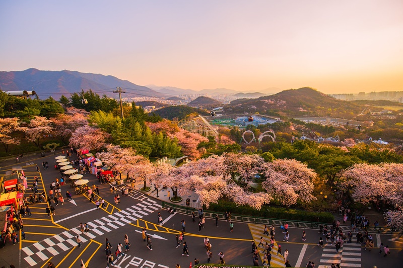  Daegu  E  World  Kim Kwangseok gil Street One Day Tour 