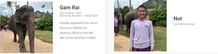 크라비 아오낭 코끼리 보호 캠프(Elephant Sanctuary) 방문 투어 상세 이미지 9