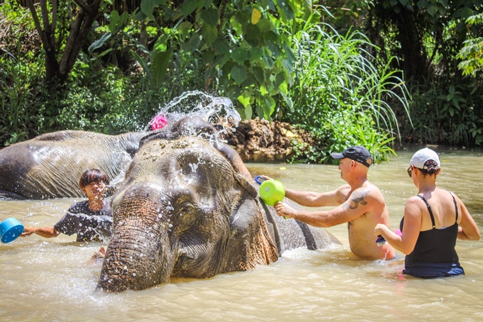 크라비 아오낭 코끼리 보호 캠프(Elephant Sanctuary) 방문 투어 상세 이미지 15