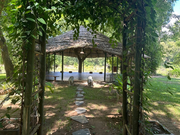 [루앙프라방] 루앙프라방 요가 클라스 - NamKhan Eco Lodge