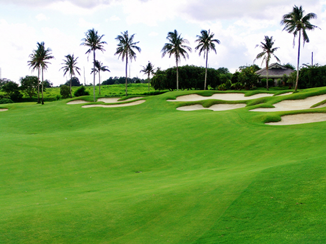 golfinmanila12.jpg