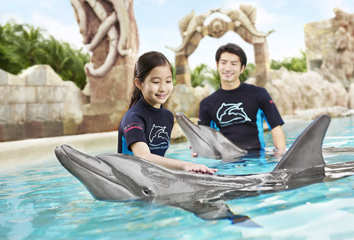 싱가포르 마린 매멀 해비타트(해양 포유류 서식지 Marine Mammal Habitat) - 돌고래와 함께 수영하기 - 트래블포레스트