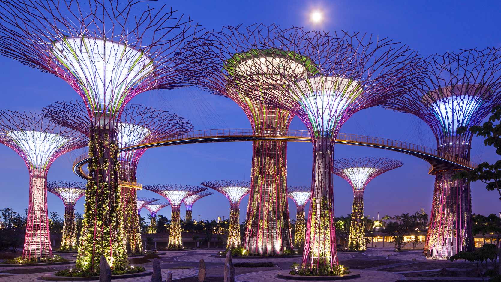 [싱가포르] 가든스 바이 더 베이 (플라워돔과 클라우드 포레스트 입장권) + 플로럴 판타지 입장권